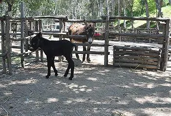 Hotel La Mia Valle 3*